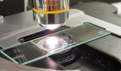 �y(c��)ԇ����